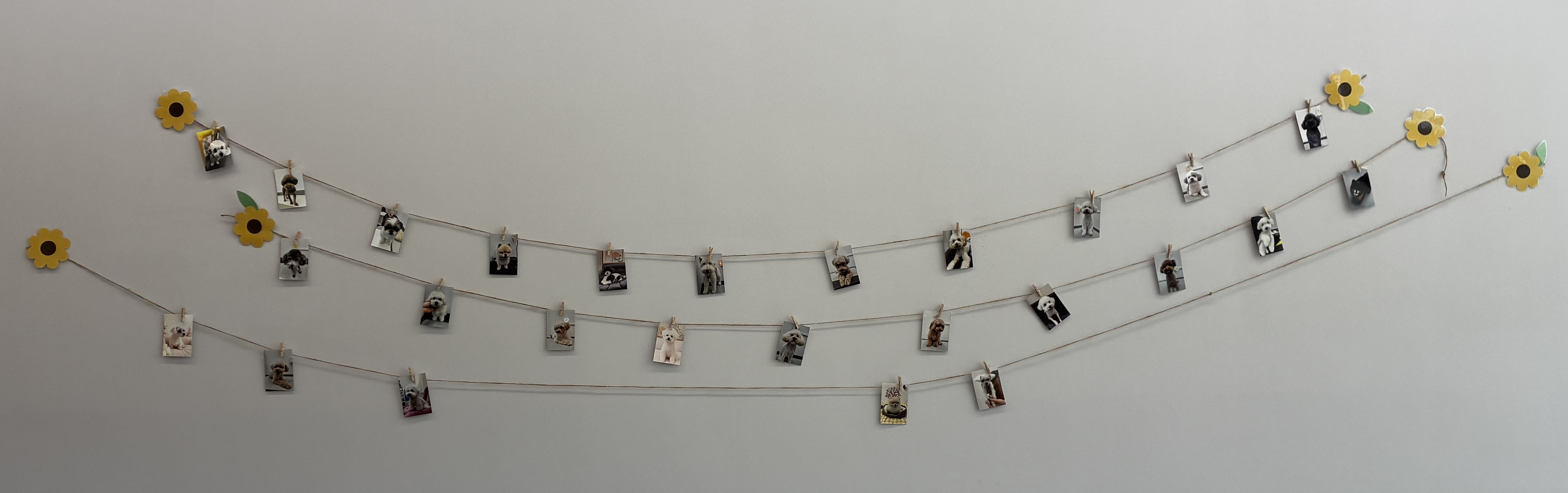 디자인보다 안전이 먼저입니다