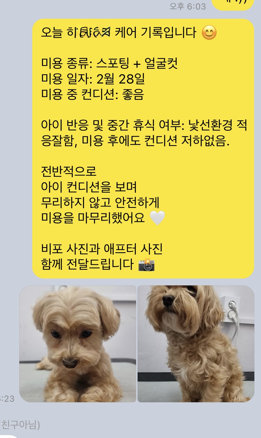 갤러리