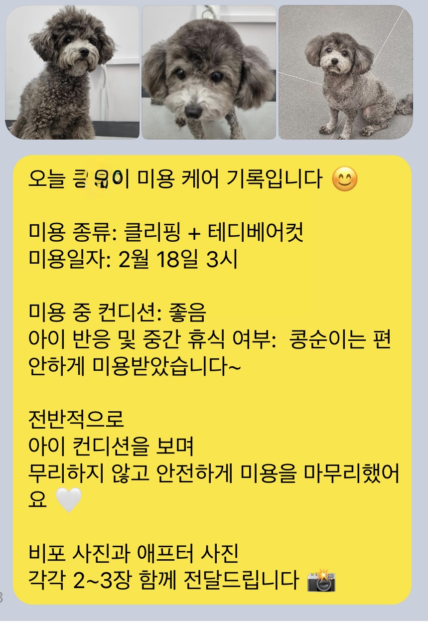 갤러리