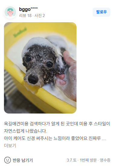 갤러리